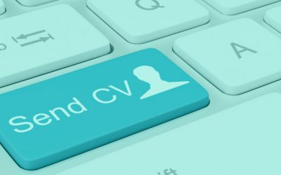How To Write Your CV Experience Section (With Sentence Examples)
